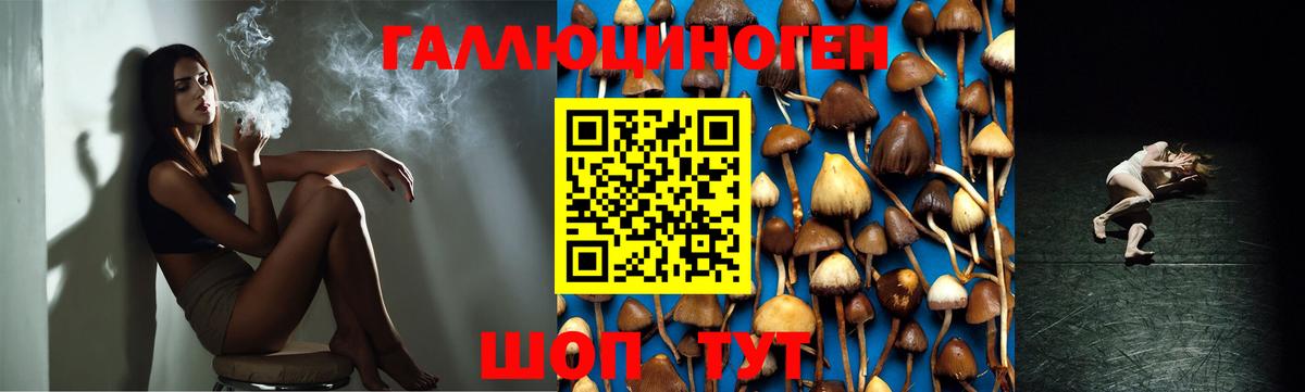 Заволжье  Псилоцибиновые грибы мухоморы  Вход с VPN 